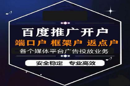 竞价广告赚钱秘籍：百度实战案例